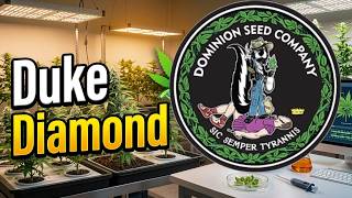 Duke Diamond | Dominion Seed Co. Breeder profile w/ Chad Westport : Spider Farmer