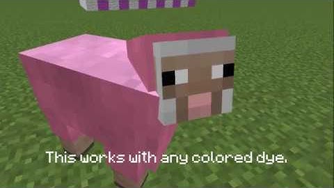Minecraft - How To Change Color on a Sheep