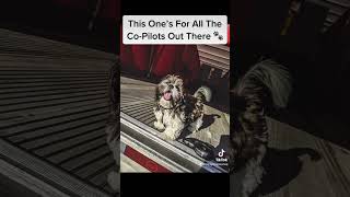 WE LOVE OUR CO-PILOTS OUT THERE 🐾