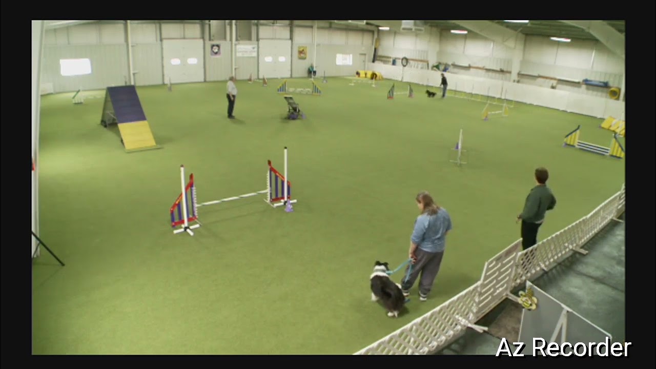 AKC T2B Cleese 2-22-26 