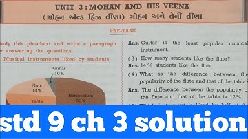 std 9th English chapter 3 mohan and his veena solution | 9th chapter 3 navneet solution #english