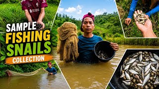 || Village River Fishing Adventure | Fresh Fish & River Snails Collection 🐟🐚 ||