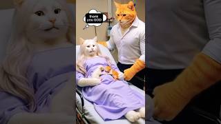 Careless Cat Jd Motion