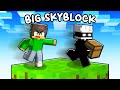 SONO STATO DERUBATO nella BIG SKYBLOCK in Minecraft #2