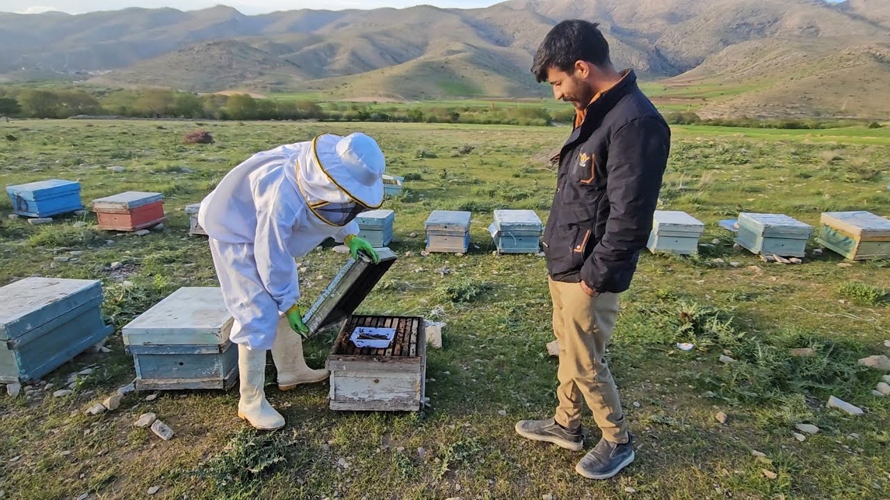 Starting a New Challenge: My First Steps in Beekeeping - YouTube