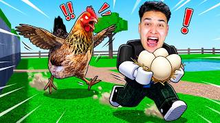 سرقة البيض من الفرخة !!