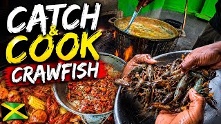 Catch and cook Crawfish || fried and boiled soup with them 🇯🇲