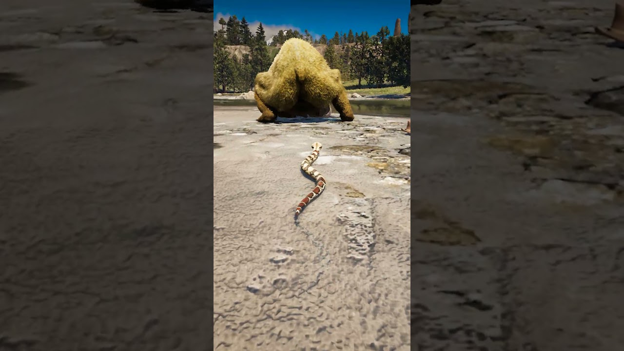 p1017 Simulate great survival skills , 