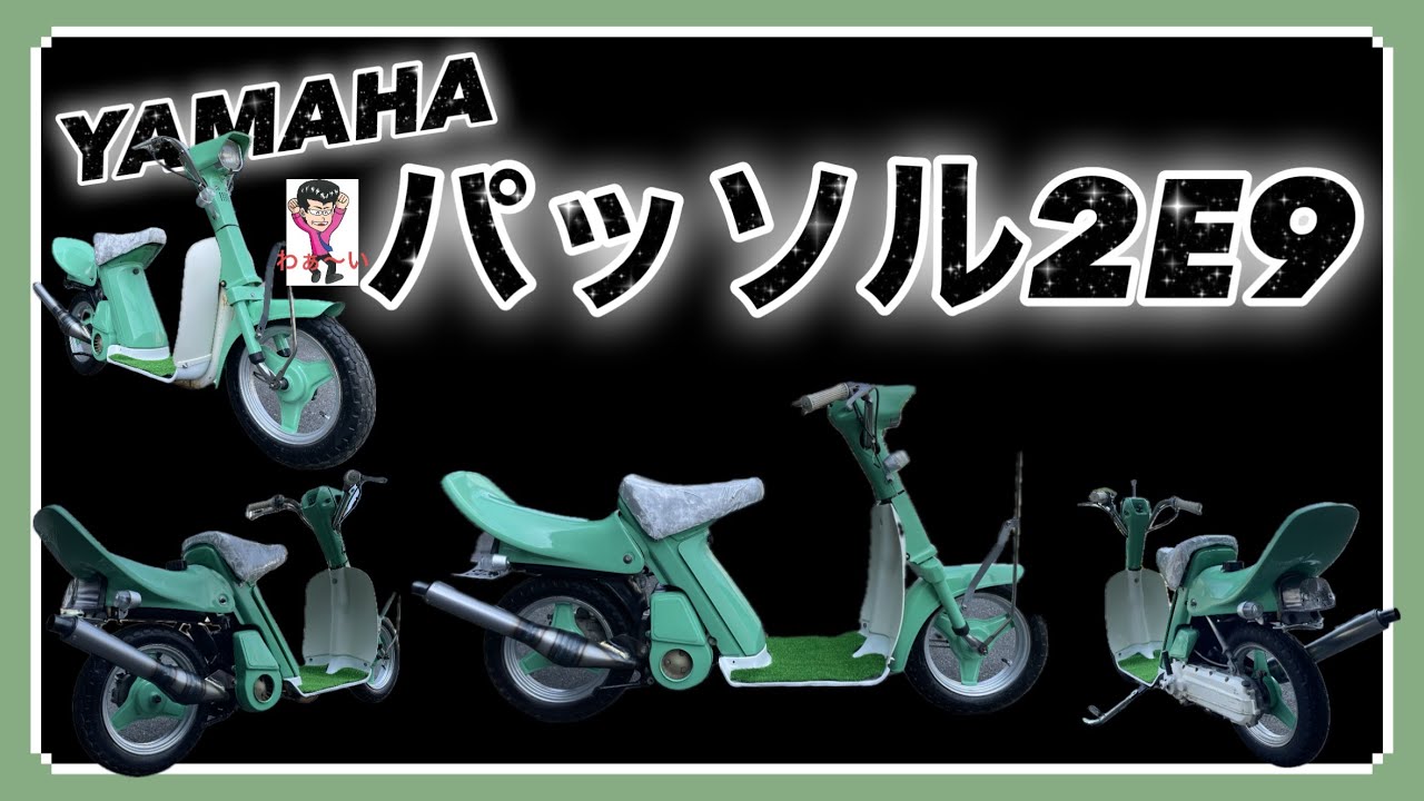 Yamaha Passol!! Fully custom painted!! #President with pompadour