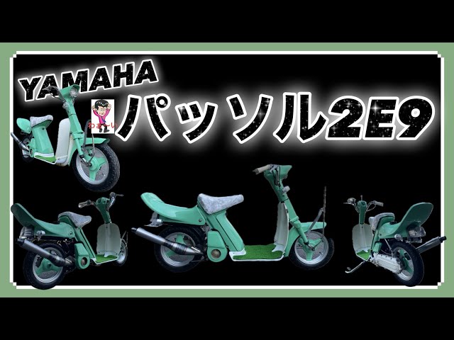 Yamaha Passol!! Fully custom painted!! #President with pompadour
