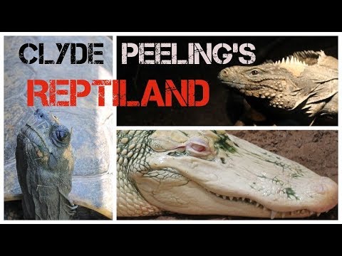 shower enclosure Reptiland Visit! 35+ Species