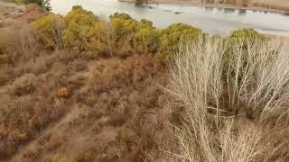 Dfad9C34 A4B1 42Ed 810E 80A02D0Ddb11