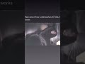 People Would Say This Is AI 😩 | #lol #funny #hilarious #funnyvideo #funnyshorts #funnymemes