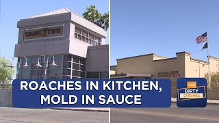 Roaches in glue traps, mold in mayo found at Phoenix area restaurants