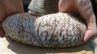 Cool Aliexpress Stuff 2018   Cheap Items Review screenshot 3