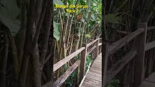 Um passeio no Parque #belem #natureza #amazonia