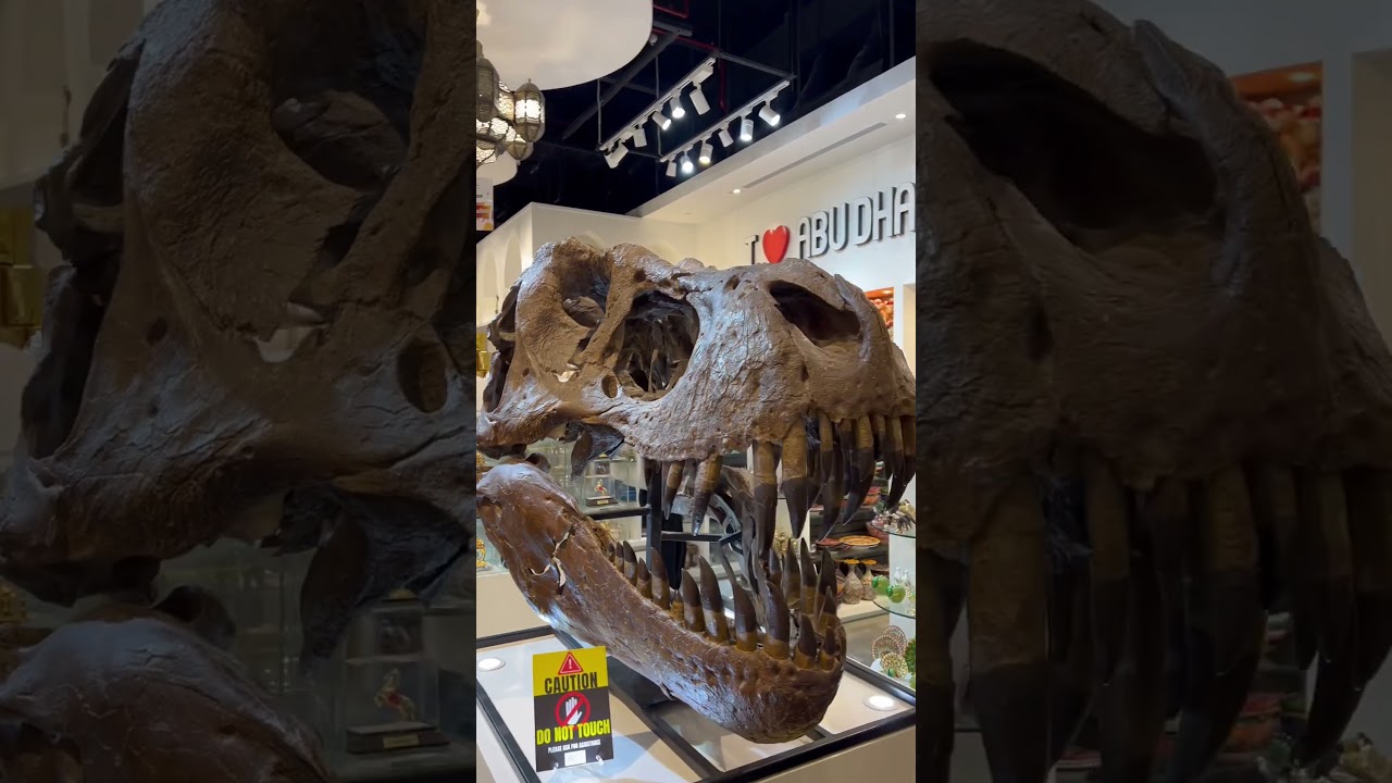 Что за красаучик? 