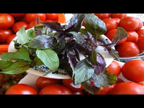 Дубинин Урожайная Грядка