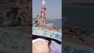 mangrove forest in karachi #karachifishing #fishing #ecoadventure #fishingtrip