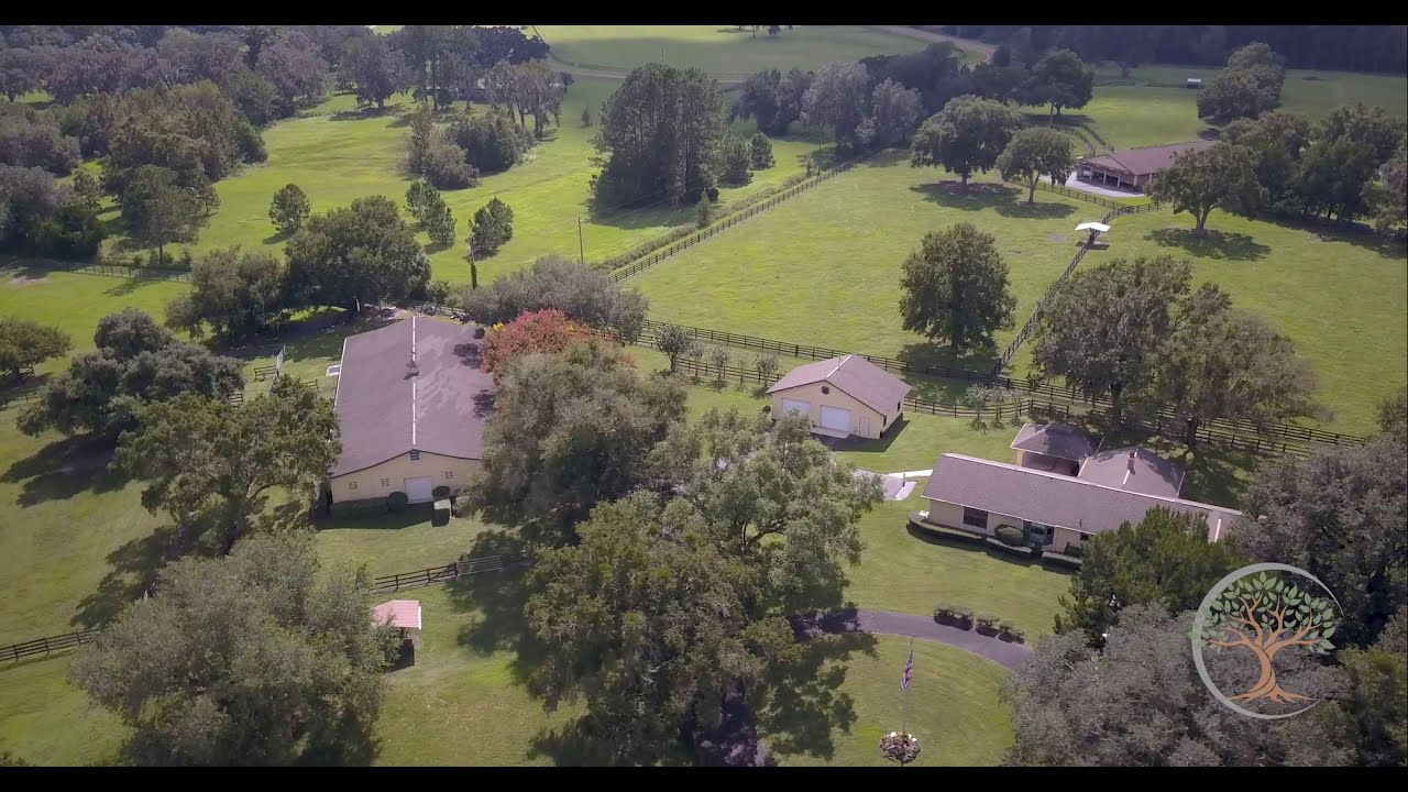 Pinnacle Park Horse Farm Oak & Sage Ocala FL YouTube