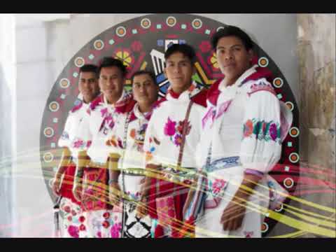 Huichol Musical Quisiera Ser Una Lagrima Youtube
