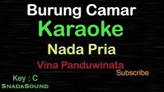 BURUNG CAMAR-Lagu Nostalgia-Vina Panduwinata|KARAOKE NADA PRIA -Male-Cowok-Laki-laki@ucokku​⁠