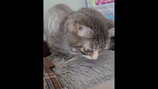 Winky Opens Bday Gifts 2023