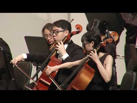 高醫弦樂社 - R. Buckley Witch’s Fiddle