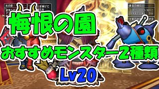 悔恨の園 周回おすすめモンスター ドラクエ10 王家の迷宮 Youtube