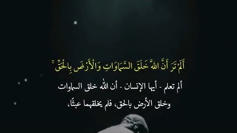 {ألم تر أن الله خلق السماوات والأرض بالحق إن يشأ يذهبكم ويأت بخلق جديد} #سورة_إبراهيم