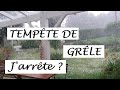 La grle a dtruit le potager en 5 minutes que faire 