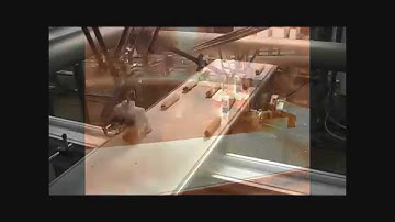 Meat & Frozen Food Packaging Solutions | JLS Automation