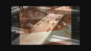 Meat & Frozen Food Packaging Solutions | JLS Automation