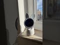 Captured my son's hilarious image via babymonitor#fypi #babymonitor #camera #arenti