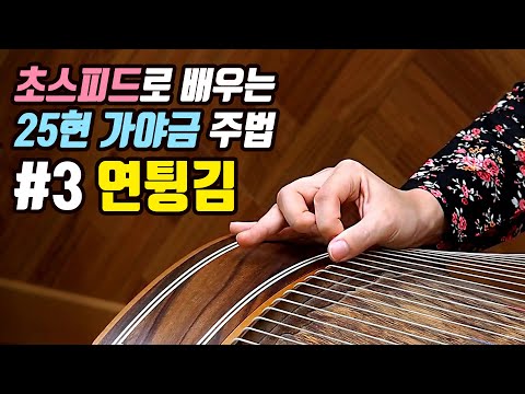 25현가야금 연주방법 : 초스피드로 배우는 25현 가야금 주법 #3 연튕김 / 25 strings <strong>gayageum</strong>