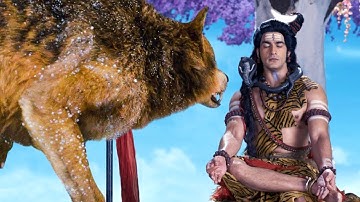 जब कैलाश पर घुस आये भेड़िये ने किया समाधि में विलीन महादेव पर हमला | Hindi Serial  @maxbhaktidigital