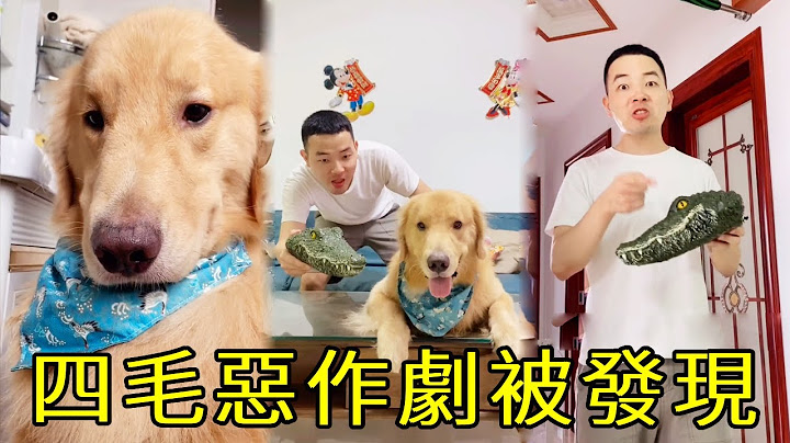毛粑就知道玩遊戲，四毛製造靈異事件整毛粑，被毛粑拆穿四毛就慘了~