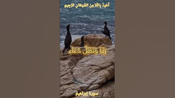 🌺القرآن الكريم 🌺ما تيسر من سورة إبراهيم
