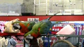 DSCN0837.AVI