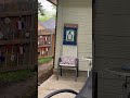Snake!