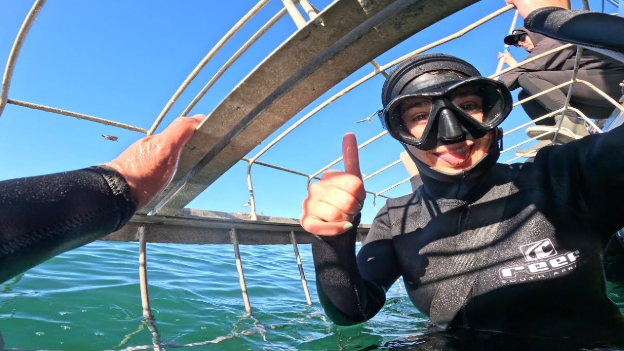 South Africa - Gansbaai Shark Cage Dive
