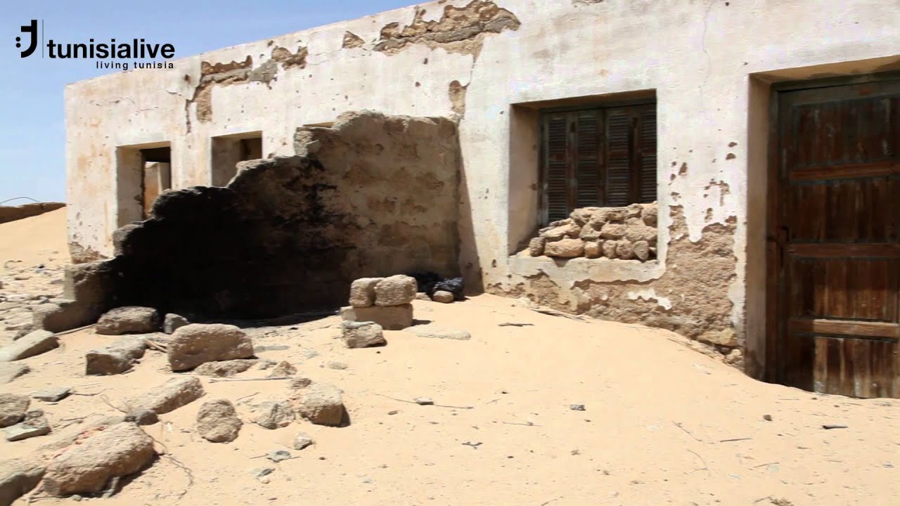 TunisiaLive.Net: Tackling Desertification in Tunisia