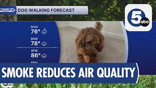 Air Quality Getting Worse What You Need to Know About Walks Today