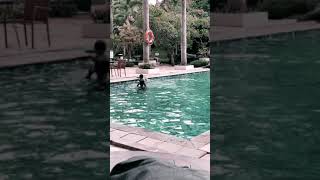 Download Lagu Kaka Ello lagi di ajari coach nya gaes__ #familytraveling #novotel #belajarrenang #renang MP3