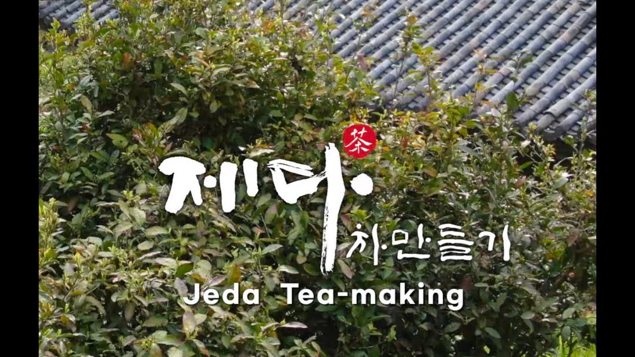 [문화유산 ASMR] 제다(製茶), 차 만들기(Jeda, Tea-making) 국가무형문화재 제130호 - YouTube