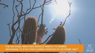 VIDEO: Tips to survive Arizona's extreme heat