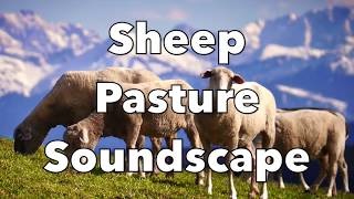 Sheep Soundscape | Atmosphere Soundscape