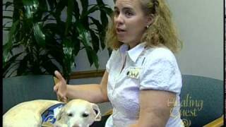 Healing Quest: Canine Therapy