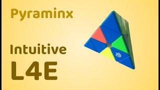 Pyraminx Intuitive L4E (Intermediate Method) Tutorial