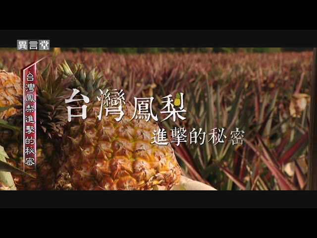 【民視異言堂】台灣鳳梨進擊的秘密